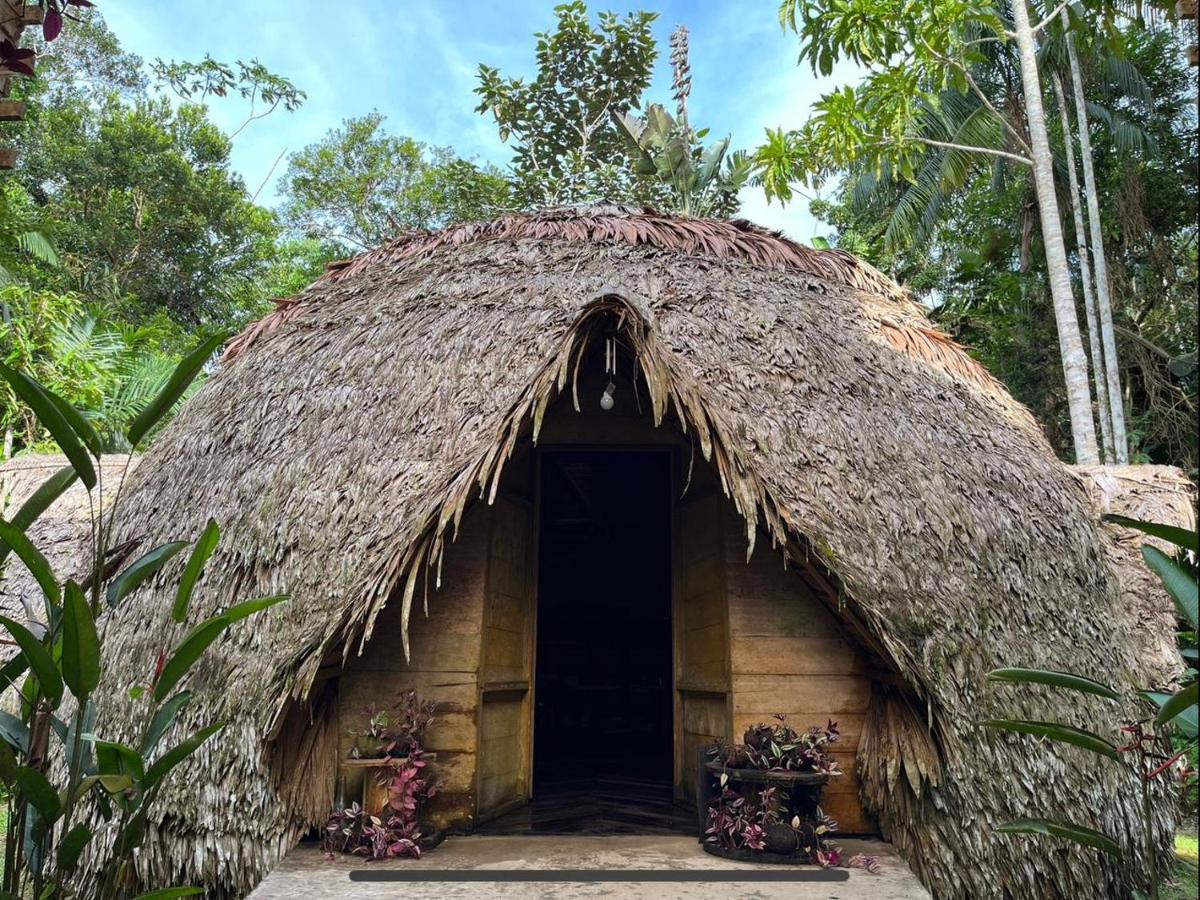 Palmayacu - Refugio Amazonico Leticia Exteriör bild