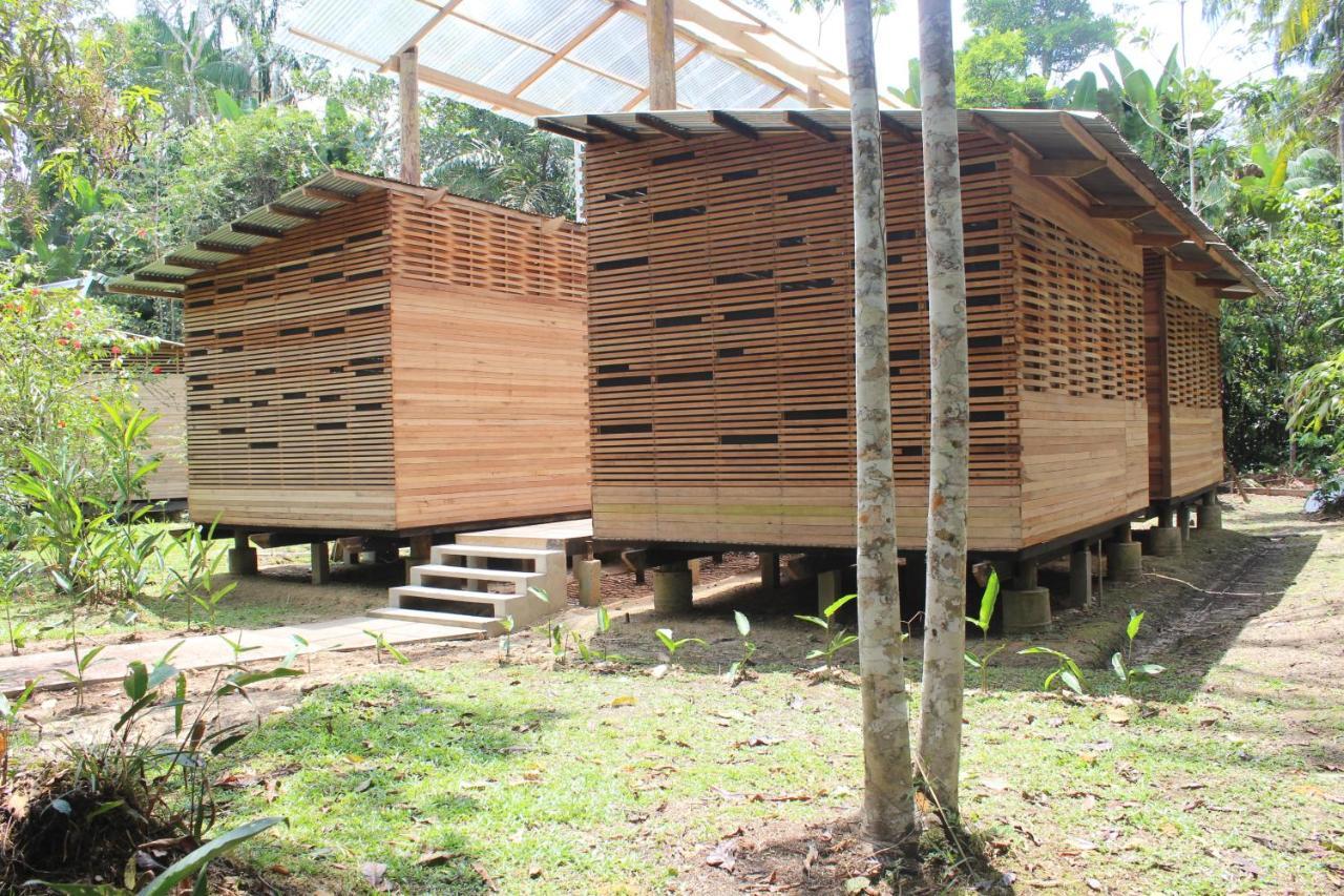 Palmayacu - Refugio Amazonico Leticia Exteriör bild